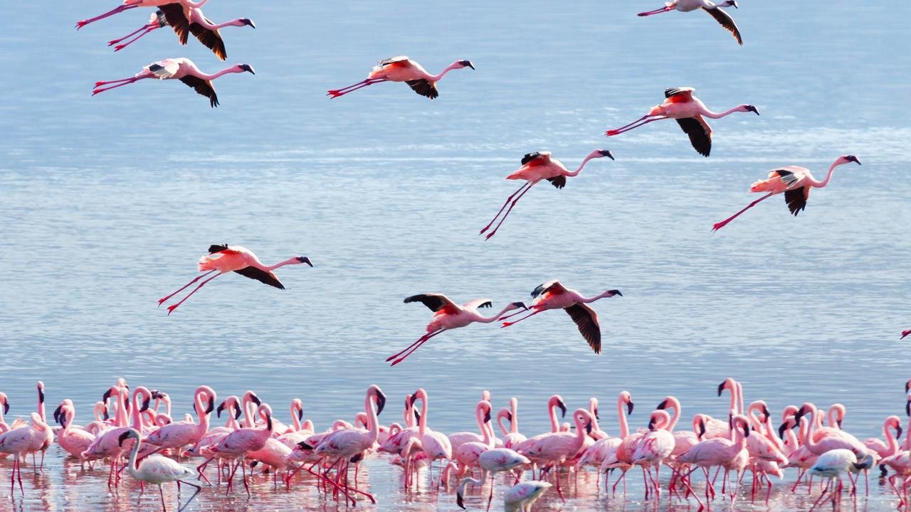 🐦 구루메시 조류센터 (구루메시 조류센터) 이미지 7